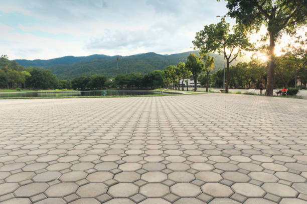 Best Driveway Pavers Near Me  in Lodi, CA